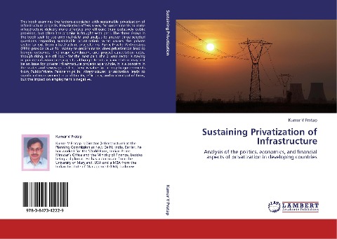Sustaining Privatization of Infrastructure: Analysis of the politics, economics, and financial aspects of privatization in developing countries