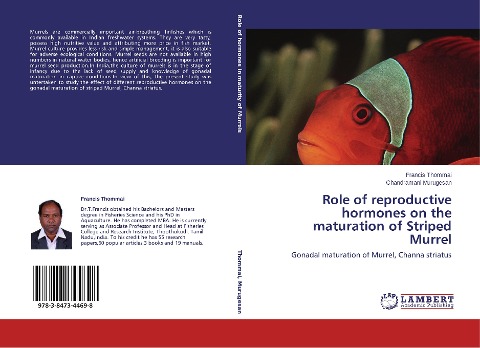 Role of reproductive hormones on the maturation of Striped Murrel: Gonadal maturation of Murrel, Channa striatus