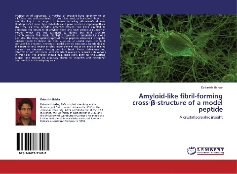 Amyloid-like fibril-forming cross-¿-structure of a model peptide: A crystallographic insight