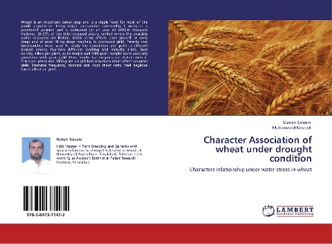 Character Association of wheat under drought condition: Characters relationship under water stress in wheat