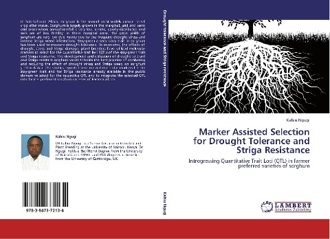 Marker Assisted Selection for Drought Tolerance and Striga Resistance: Introgressing Quantitative Trait Loci (QTL) in farmer preferred varieties of sorghum