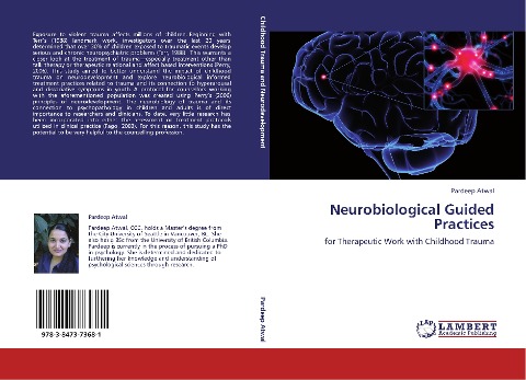 Neurobiological Guided Practices: for Therapeutic Work with Childhood Trauma