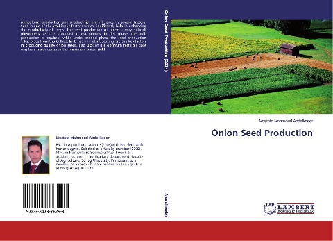 Onion Seed Production