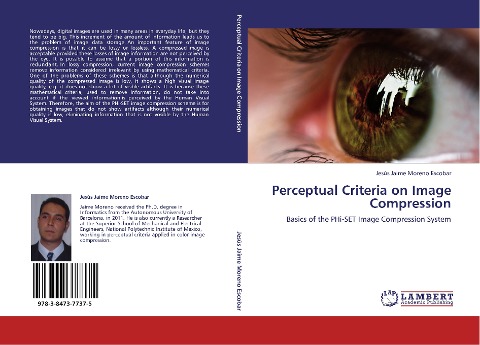 Perceptual Criteria on Image Compression: Basics of the PHi-SET Image Compression System