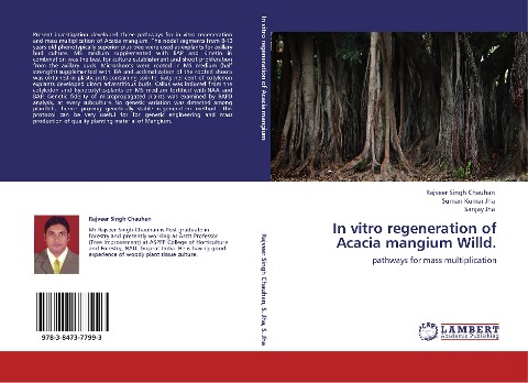 In vitro regeneration of Acacia mangium Willd.: pathways for mass multiplication