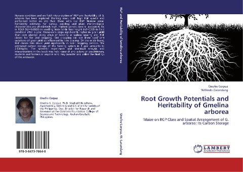 Root Growth Potentials and Heritability of Gmelina arborea: Maize on RGP Class and Spatial Arrangement of G. arborea: Its Carbon Storage