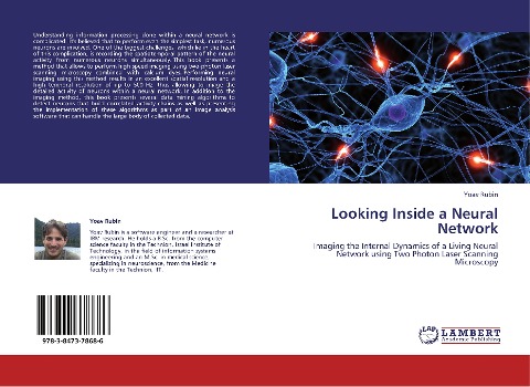 Looking Inside a Neural Network: Imaging the Internal Dynamics of a Living Neural Network using Two Photon Laser Scanning Microscopy