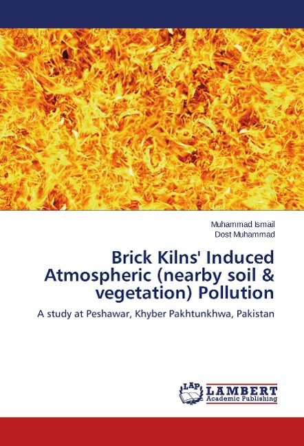 Brick Kilns Induced Atmospheric (nearby soil & vegetation) Pollution: A study at Peshawar, Khyber Pakhtunkhwa, Pakistan