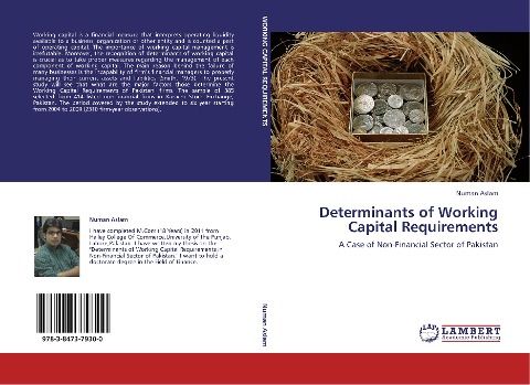 Determinants of Working Capital Requirements: A Case of Non-Financial Sector of Pakistan