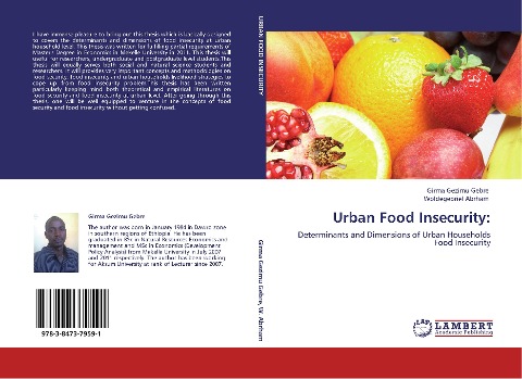 Urban Food Insecurity:: Determinants and Dimensions of Urban Households Food Insecurity