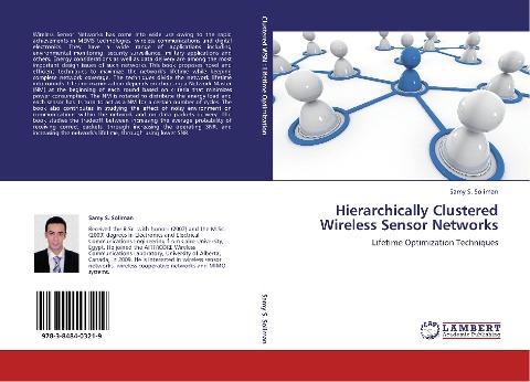 Hierarchically Clustered Wireless Sensor Networks: Lifetime Optimization Techniques