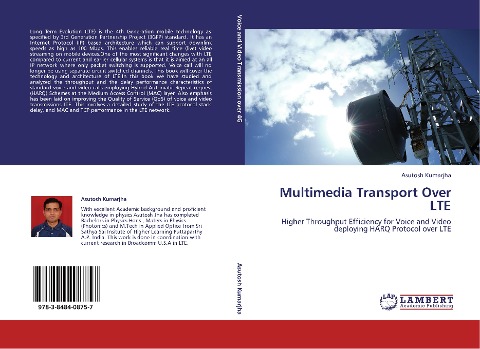 Multimedia Transport Over LTE: Higher Throughput Efficiency for Voice and Video deploying HARQ Protocol over LTE