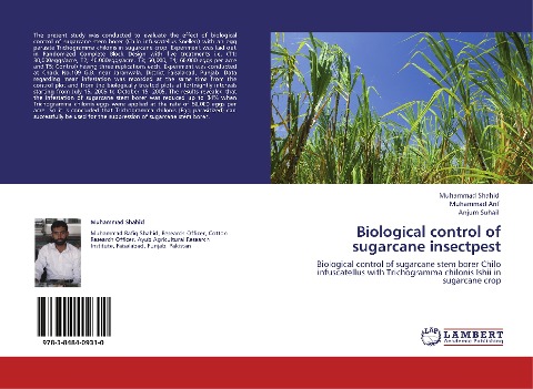 Biological control of sugarcane insectpest: Biological control of sugarcane stem borer Chilo infuscatellus with Trichogramma chilonis Ishii in sugarcane crop