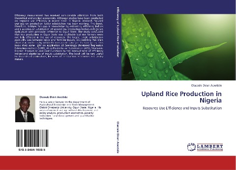 Upland Rice Production in Nigeria: Resource Use Efficiency and Inputs Substitution