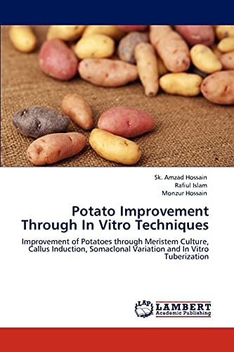 Potato Improvement Through in Vitro Techniques