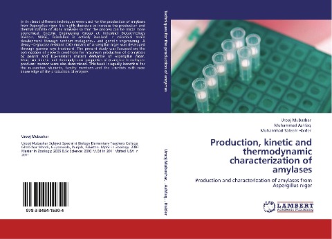 Production, kinetic and thermodynamic characterization of amylases: Production and characterization of amylases from  Aspergillus niger