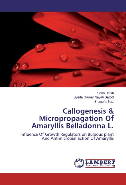 Callogenesis & Micropropagation Of Amaryllis Belladonna L.: Influence Of Growth Regulators on Bulbous plant And Antimicrobial action Of Amaryllis