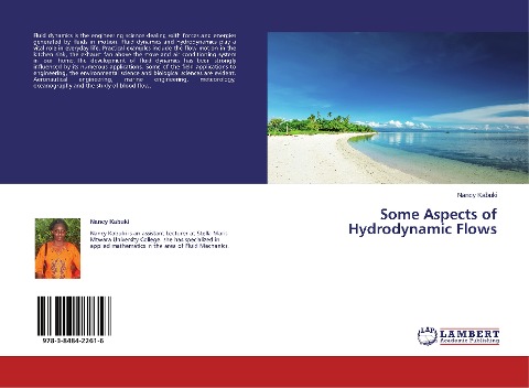 Some Aspects of Hydrodynamic Flows