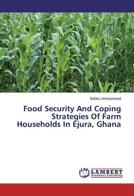 Food Security And Coping Strategies Of Farm Households In Ejura, Ghana