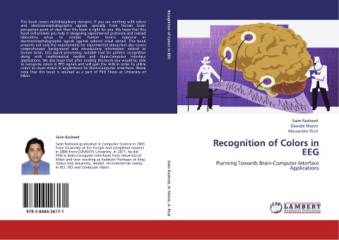 Recognition of Colors in EEG: Planning Towards Brain-Computer Interface Applications