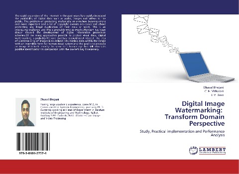 Digital Image Watermarking:   Transform Domain Perspective: Study, Practical implementation and Performance Analysis