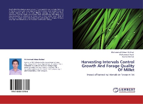Harvesting Intervals Control Growth And Forage Quality Of Millet: Impact of harvesting intervals on forage millet