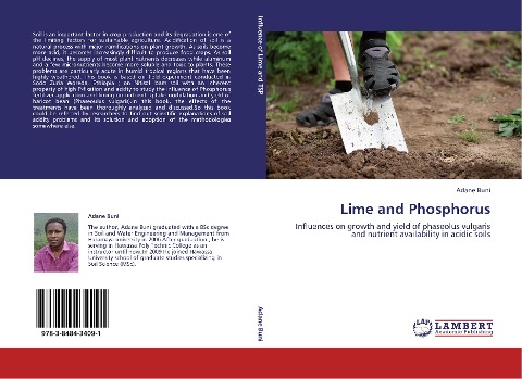 Lime and Phosphorus: Influences on growth and yield of  phaseolus vulgaris and nutrient availability in acidic soils