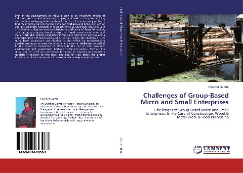 Challenges of Group-Based Micro and Small Enterprises: Challenges of Group-Based Micro and Small Enterprises: In the Case of Construction, Wood & Metal Work & Food Processing