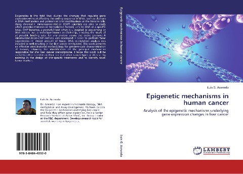 Epigenetic mechanisms in human cancer: Analysis of the epigenetic mechanisms underlying gene expression changes in liver cancer