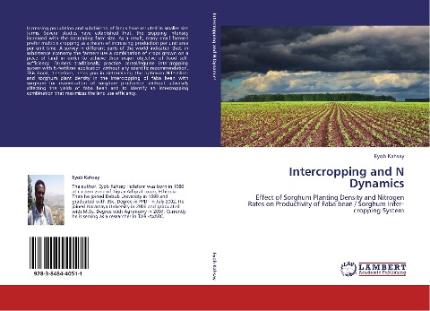 Intercropping and N Dynamics: Effect of Sorghum Planting Density and Nitrogen Rates on Productivity of Faba bean / Sorghum Inter-cropping System