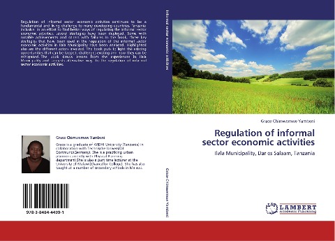 Regulation of informal sector economic activities: Ilala Municipality, Dar es Salaam, Tanzania