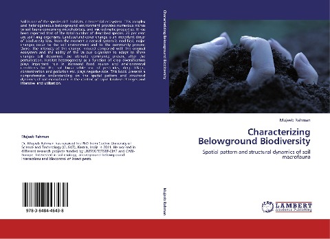 Characterizing Belowground Biodiversity: Spatial pattern and structural dynamics of soil macrofauna