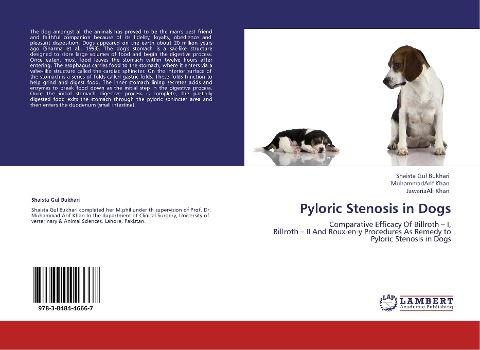 Pyloric Stenosis in Dogs: Comparative Efficacy Of Billroth - I,  Billroth - II And Roux-en-y Procedures As Remedy to Pyloric Stenosis in Dogs