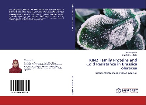 KIN2 Family Proteins and Cold Resistance in Brassica oleracea: Dictations linked to expression dynamics
