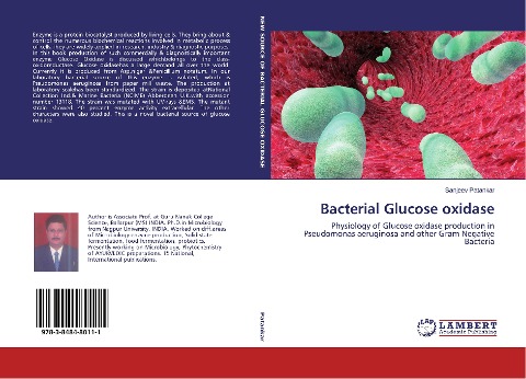 Bacterial Glucose oxidase: Physiology of Glucose oxidase production in Pseudomonas aeruginosa and other Gram Negative Bacteria