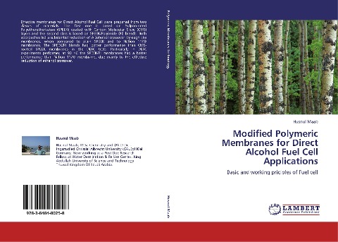 Modified Polymeric Membranes for Direct Alcohol Fuel Cell Applications: Basic  and working priciples of Fuel cell