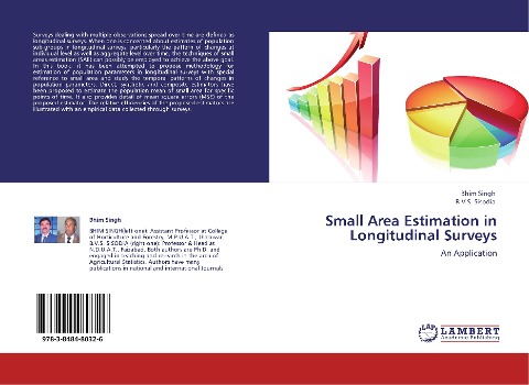 Small Area Estimation in Longitudinal Surveys: An Application