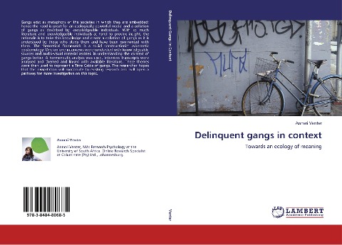 Delinquent gangs in context: Towards an ecology of meaning