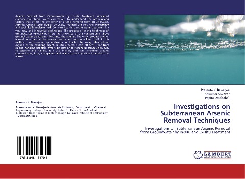 Investigations on Subterranean Arsenic Removal Techniques: Investigations on Subterranean Arsenic Removal from Groundwater by In-situ and Ex-situ Treatment