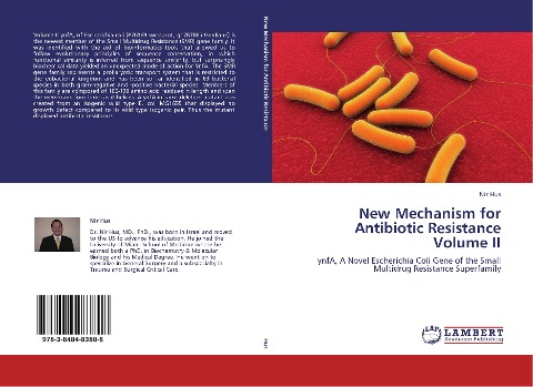 New Mechanism for Antibiotic Resistance Volume II: ynfA, A Novel Escherichia Coli Gene of the Small Multidrug Resistance Superfamily