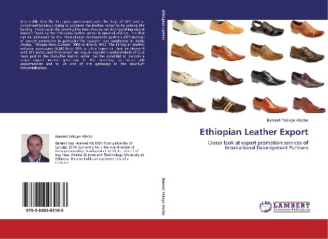 Ethiopian Leather Export: Closer look at export promotion services of International Development Partners