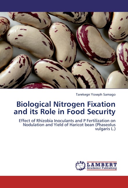 Biological Nitrogen Fixation and its Role in Food Security: Effect of Rhizobia Inoculants and P Fertilization on Nodulation and Yield of Haricot bean (Phaseolus vulgaris L.)