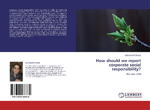 How should we report corporate social responsibility?: The case UPM