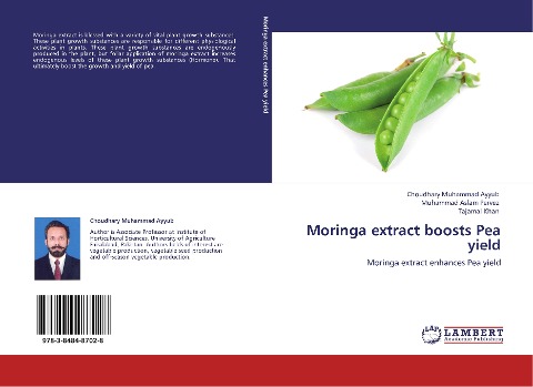 Moringa extract boosts Pea yield: Moringa extract enhances Pea yield