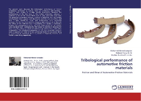 Tribological performance of automotive friction materials: Friction and Wear of Automotive Friction Materials