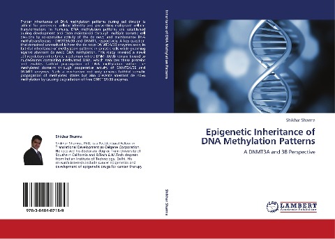 Epigenetic Inheritance of DNA Methylation Patterns: A DNMT3A and 3B Perspective
