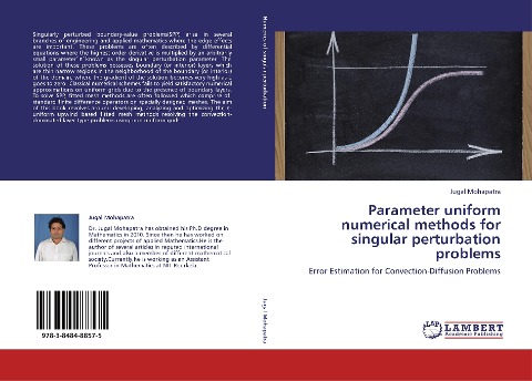 Parameter uniform numerical methods for singular perturbation problems: Error Estimation for Convection-Diffusion Problems