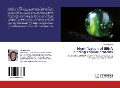 Identification of EBNA binding cellular proteins: Identification of EBNA binding cellular proteins using the yeast two hybrid system