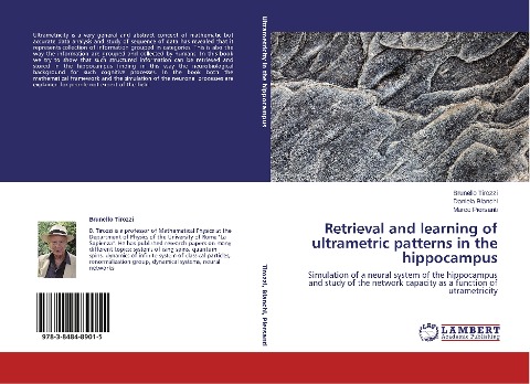 Retrieval and learning of ultrametric patterns in the hippocampus: Simulation of a neural system of the hippocampus and study of the network capacity as a function of utrametricity