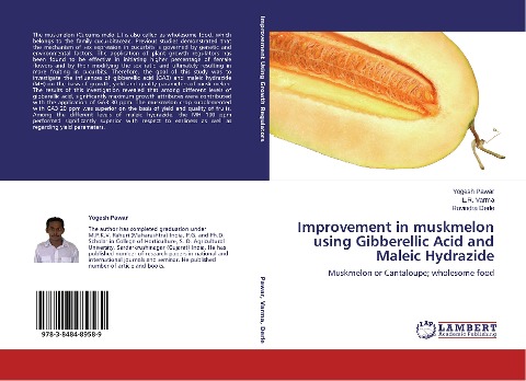 Improvement in muskmelon using Gibberellic Acid and Maleic Hydrazide: Muskmelon or Cantaloupe; wholesome food